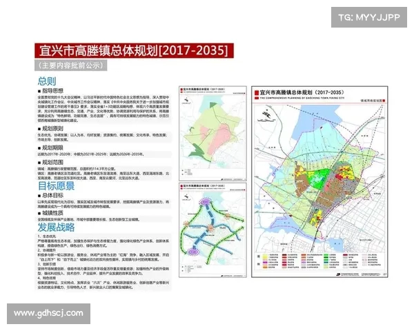 足球俱乐部转会资金投入策略分析与未来发展规划